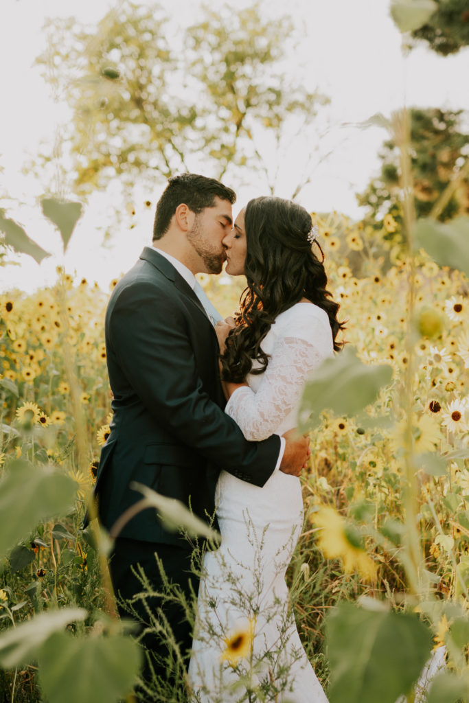 bride and groom kissing in grove of sunflowers in Louisville bridals