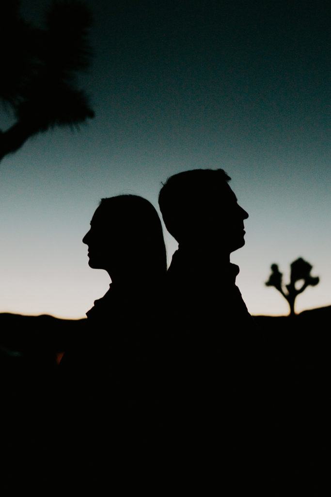 Man and woman standing back to back during sunset at joshua tree